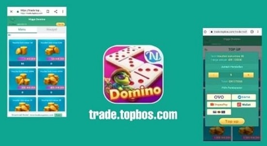 trade topbos com